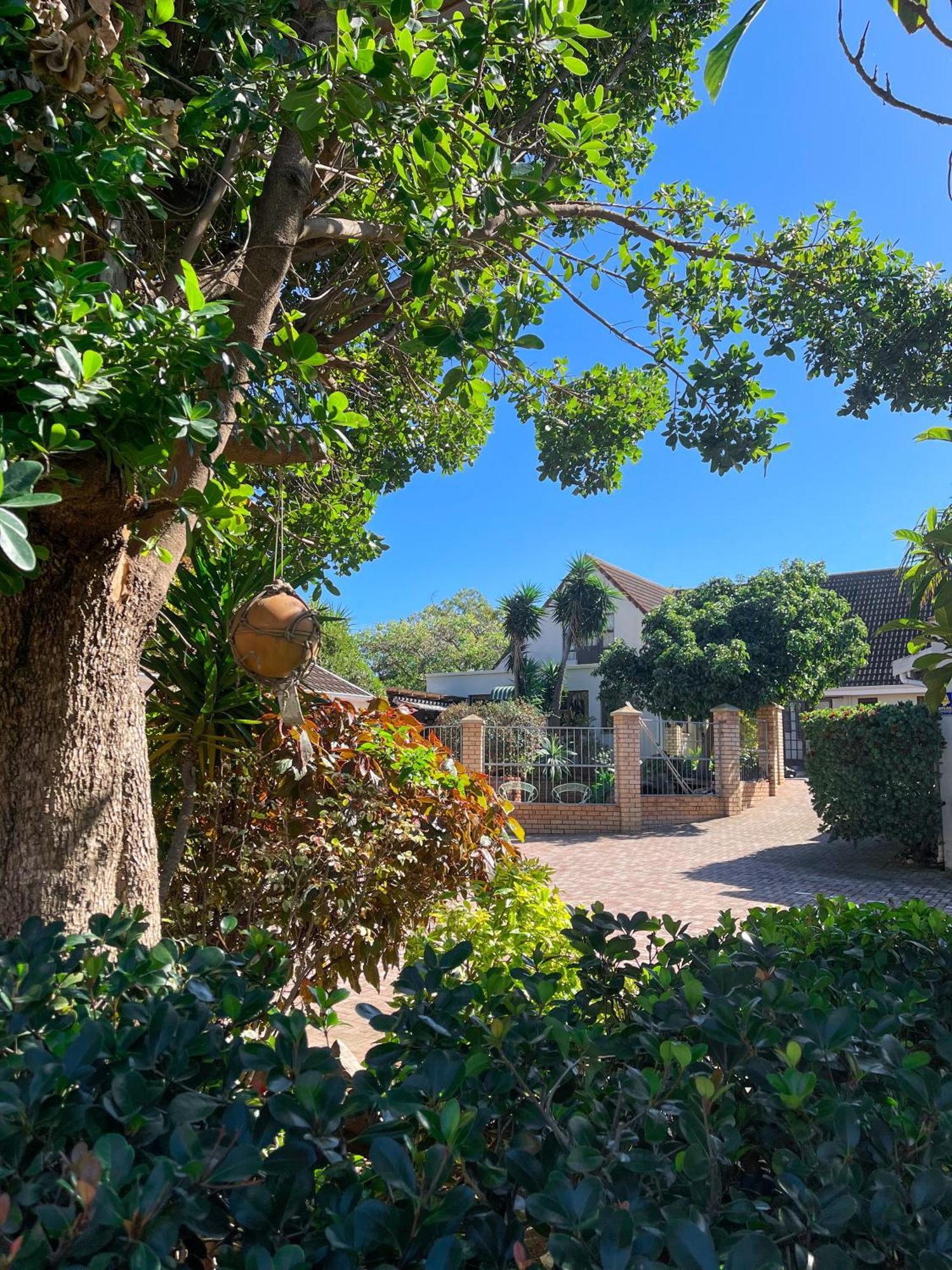 Albert Road Garden Guest House ポート・エリザベス エクステリア 写真