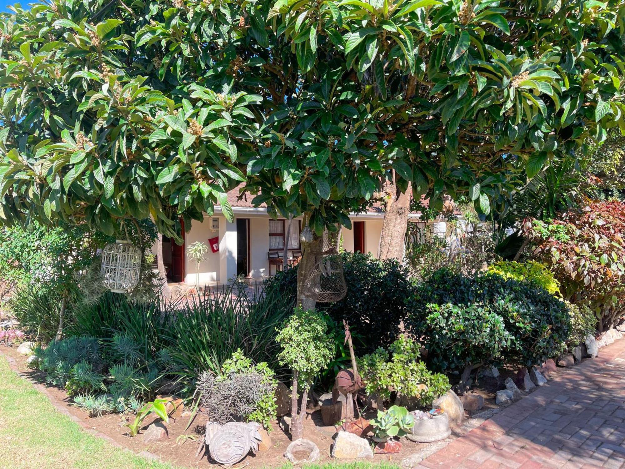 Albert Road Garden Guest House ポート・エリザベス エクステリア 写真